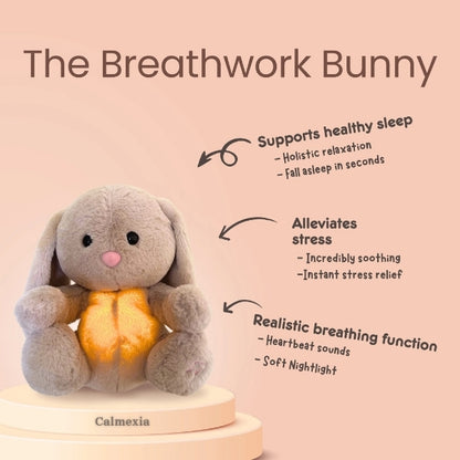 THE BREATH WORK BUNNY™