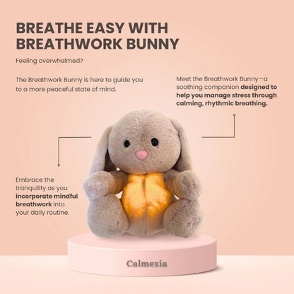 THE BREATH WORK BUNNY™