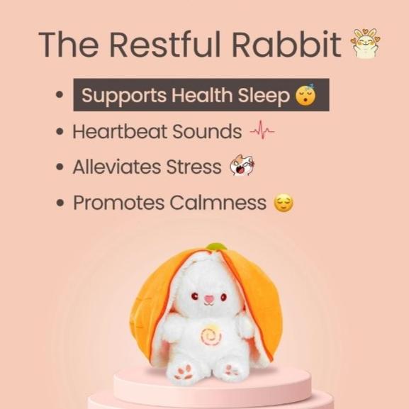 THE RESTFUL RABBIT™